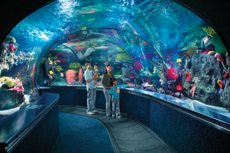 Ripleys Aquarium