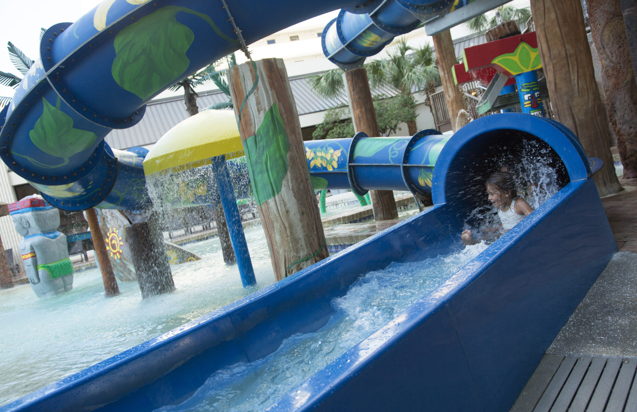 5 MustDo Activities in Myrtle Beach This Spring Ocean Reef Myrtle