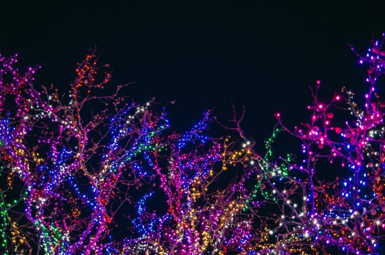 christmas lights on a tree
