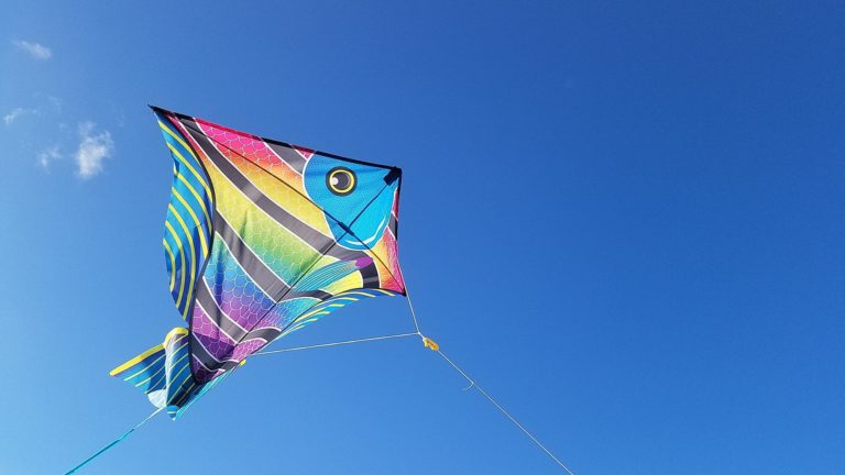 kite flying on the beach