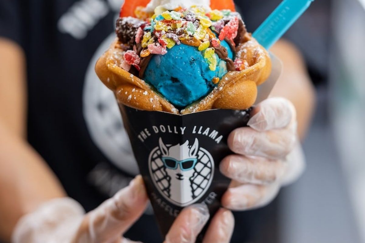 DollyLlamaIceCreamWaffles_ (30)2