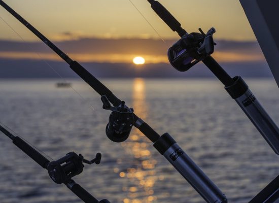 fishing poles on boat