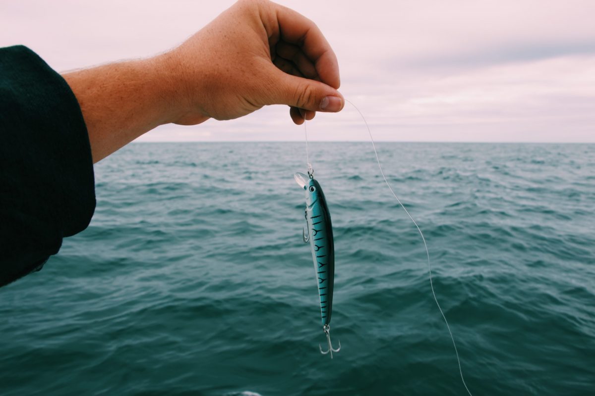 Hand holding fish on hook
